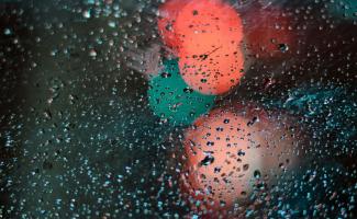 Illustration Les peurs d'enfance : quand les phobies prennent racine